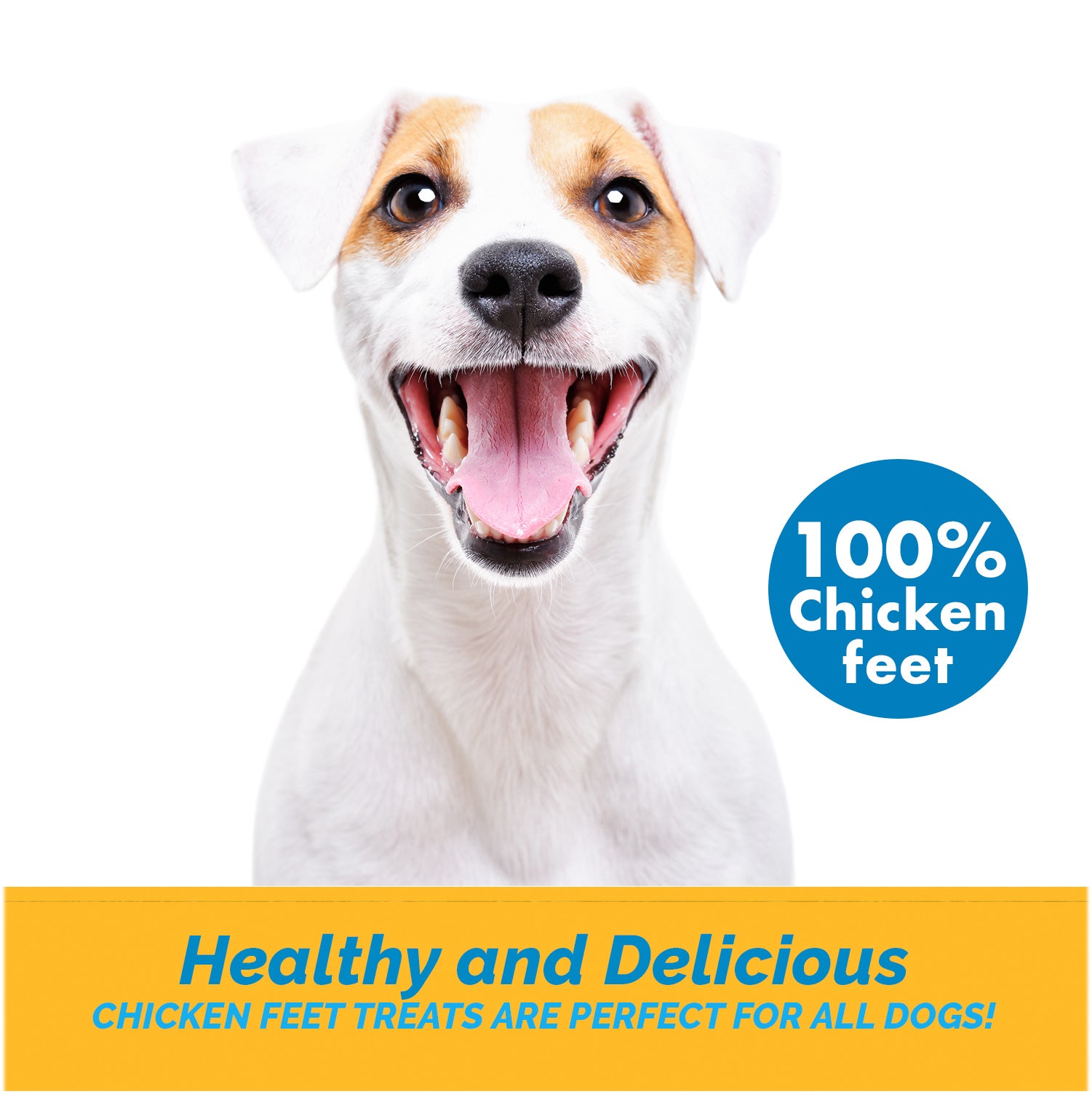Chicken Feet For Dogs | Natural Joint Dog Chews 7 ounces By 123 Treats