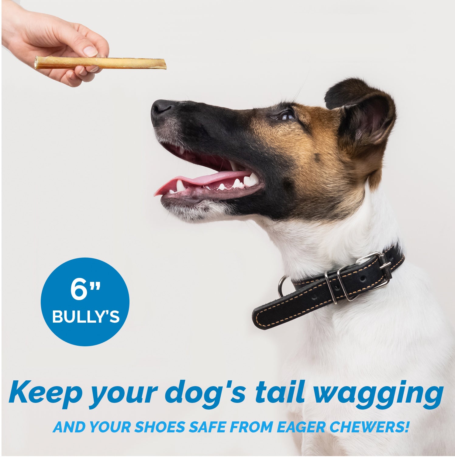 BULLY STICKS for Dogs 6 Inches - 1 Pound | 100% Natural Dog Chews