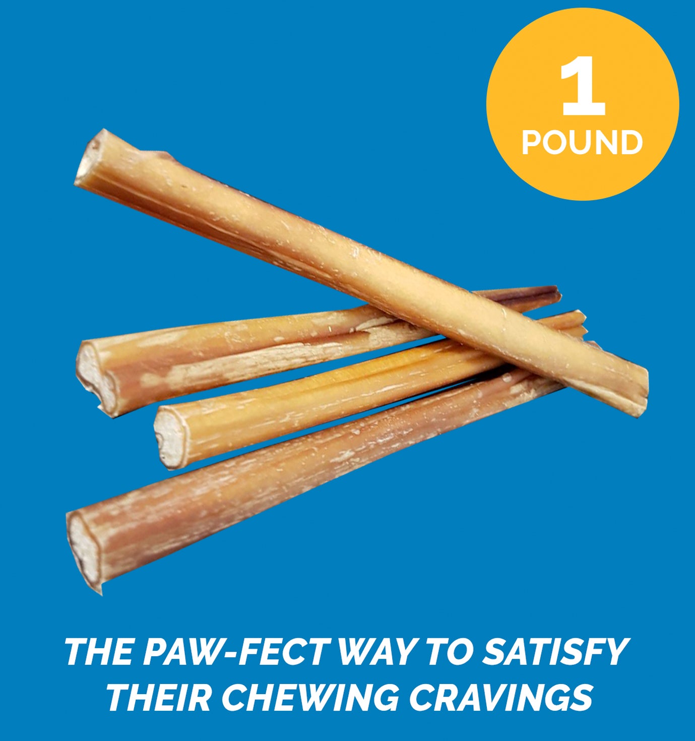 BULLY STICKS for Dogs 6 Inches - 1 Pound | 100% Natural Dog Chews