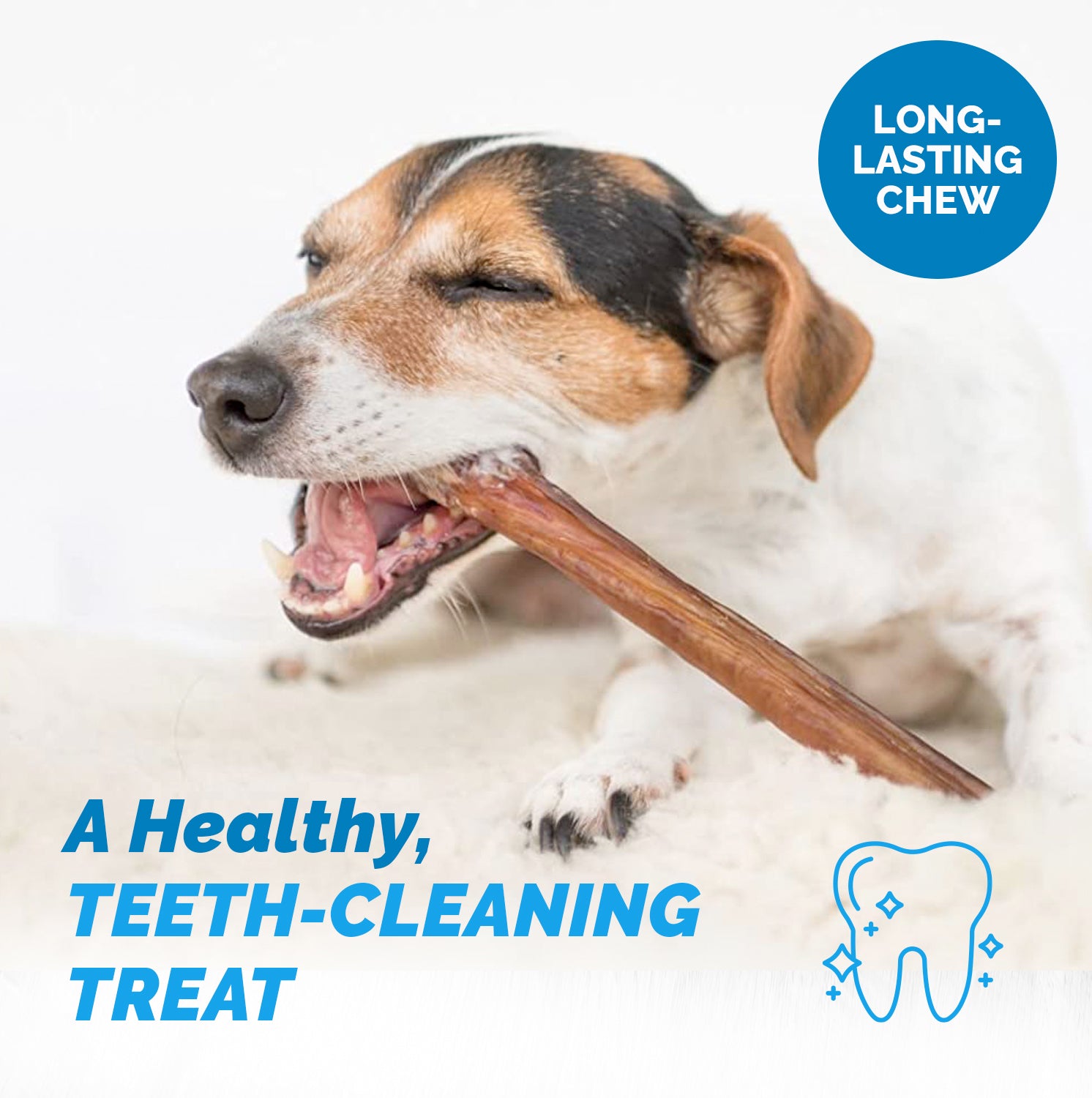 BULLY STICKS for Dogs 6 Inches - 1 Pound | 100% Natural Dog Chews