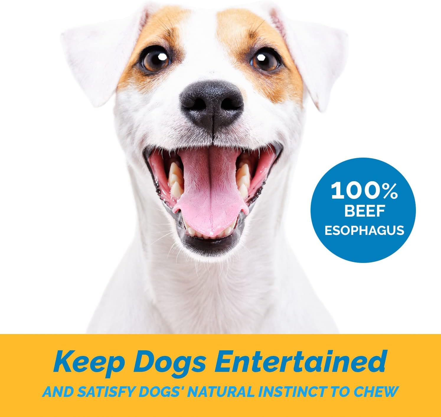 Beef Chews for Dogs (1 Pound) Gullet Jerky treats | All Natural Esophagus Treats