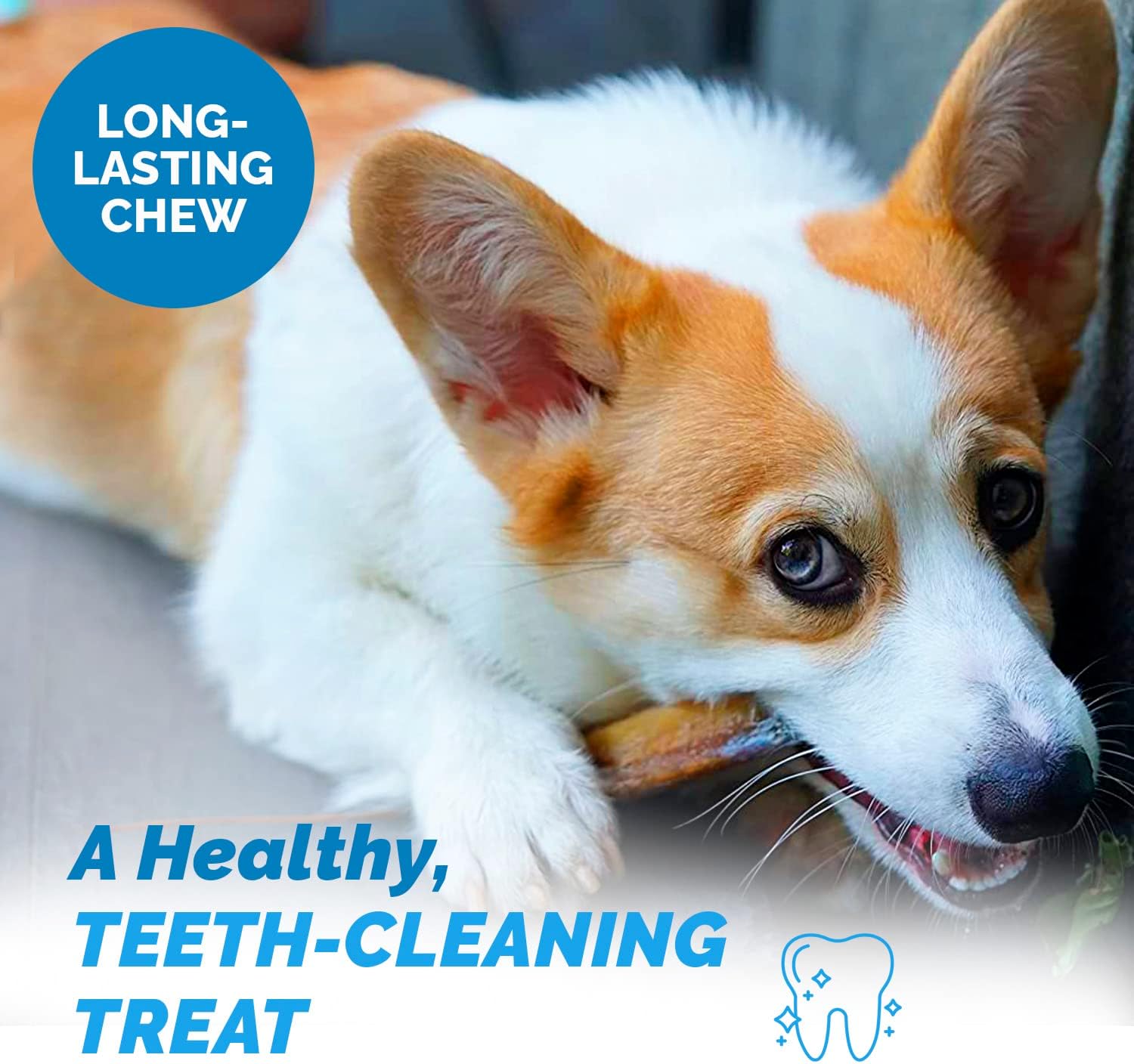 Beef Rib Bones for Dogs – 5-6" Natural Gourmet Treats (8 Ct)