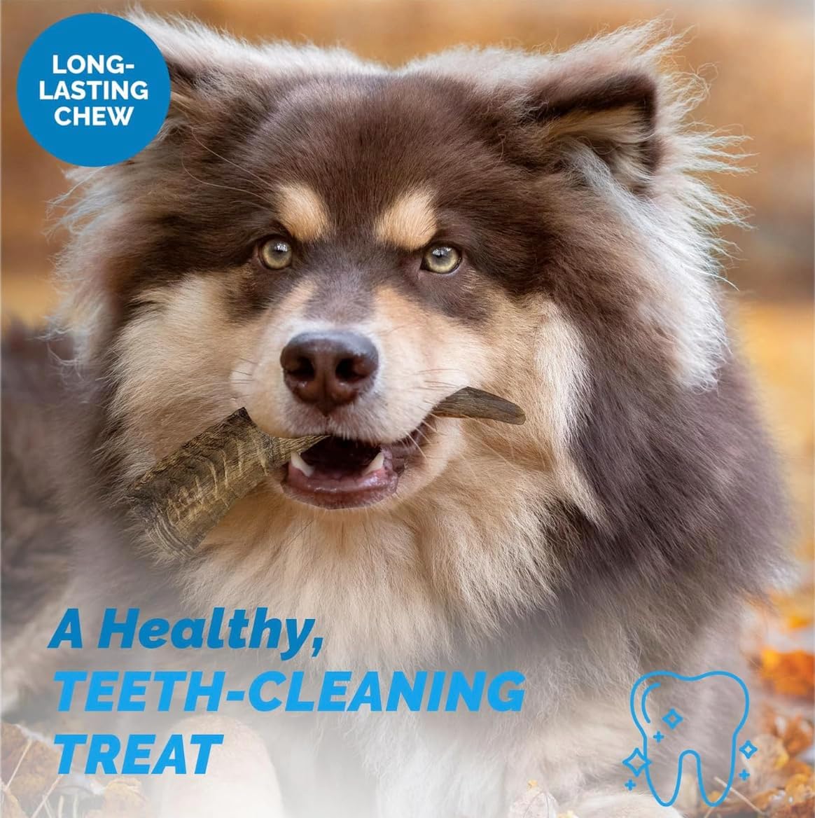 Goat Horn Chews - Dog Chews for Aggressive Chewers, Long Lasting Goat Horns Treats, Natural Dog Horn Treats for Dogs 3 Count