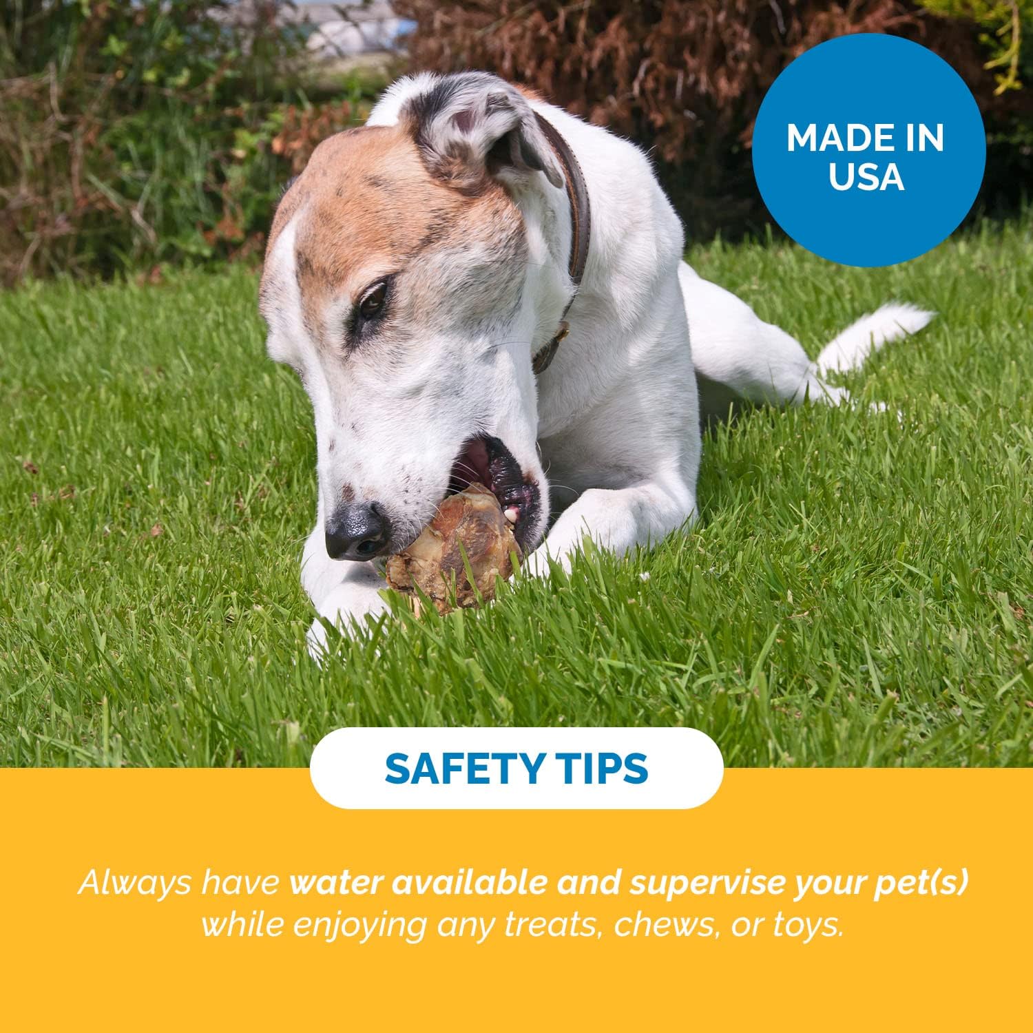 Beef Knee Cap Bone Chews for Dogs - Made in USA