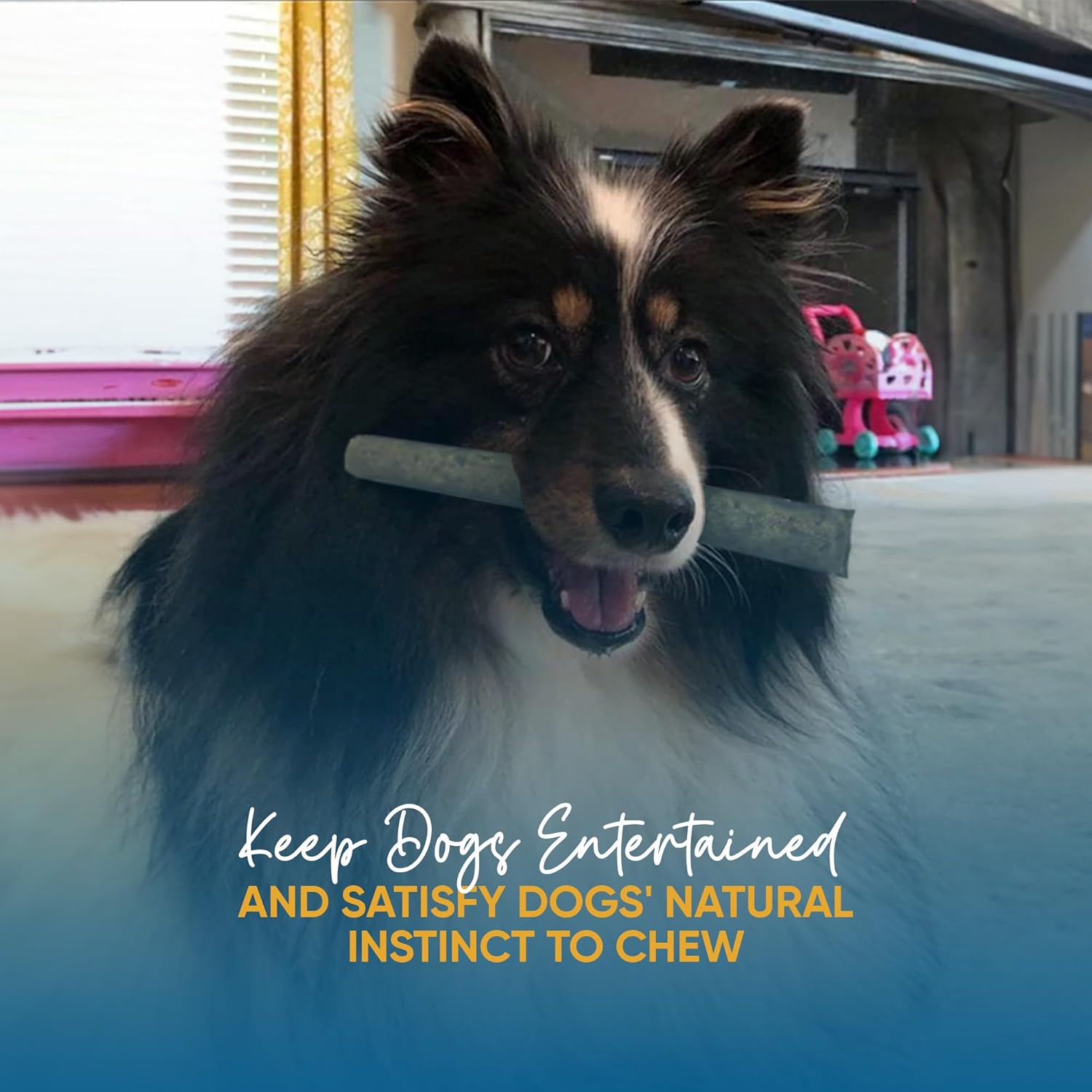 Fish Sticks Rolls For Dogs - 6 Inches (30 Count) | Premium Natural Fish Dog Treats - Healthy & Delicious