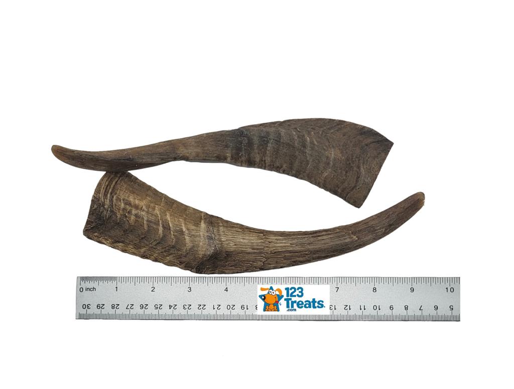 Dried Goat Horns Chews Medium or Large - 2 count