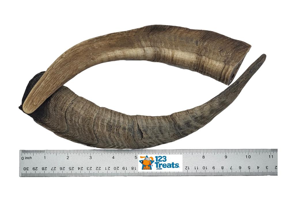 Dried Goat Horns Chews Medium or Large - 2 count