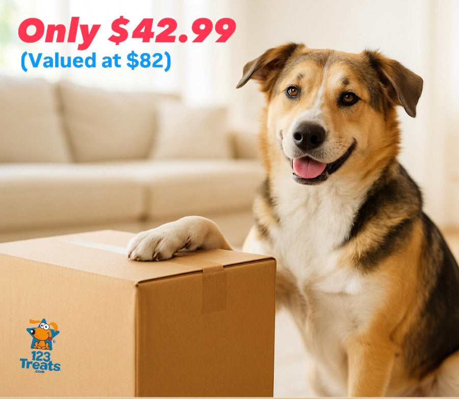 Pet Bundle Box: A Fun and Delicious Gift Set / Starter Kit for Your Furry Friends