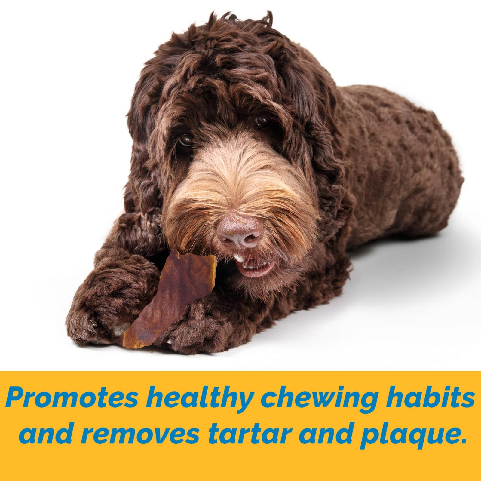 Beef Cheek Beef Basted chews for dogs (2 pounds) | All natural Long Lasting dog treats