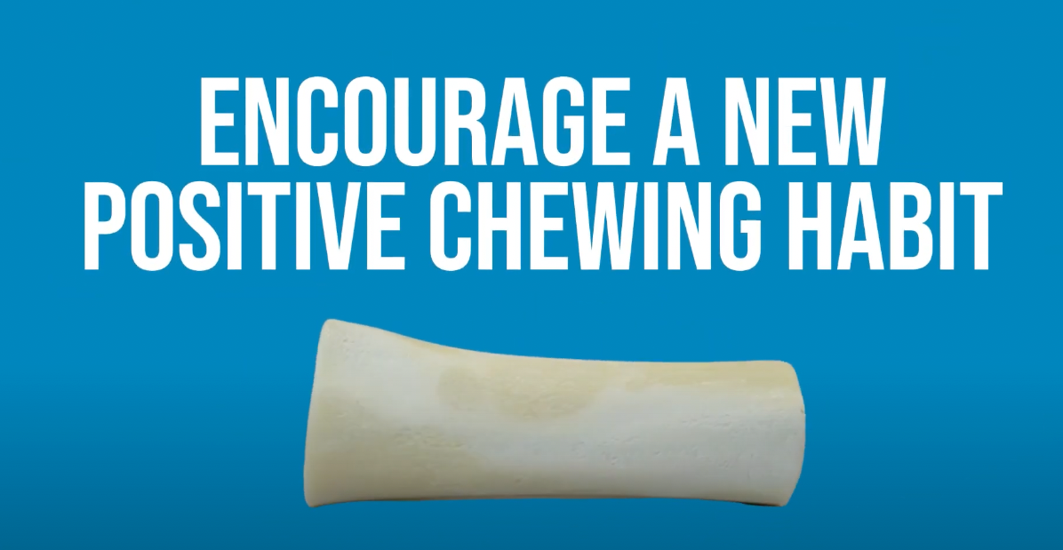 Bones with Bone Marrow 3-4” chew bones for Dogs 6 Count - Natural Grass Fed Meaty Chew Treats for Aggressive chewers.