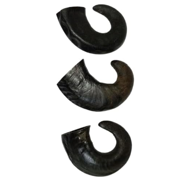 Small Buffalo Horns Chews for Dogs – 3 Count