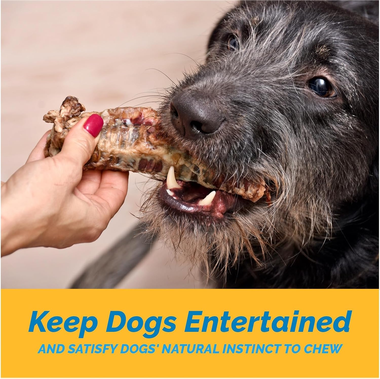 6" or 12" Trachea Chews for Dogs (10 count) or 3" - (8 or 25 Count) all natural.