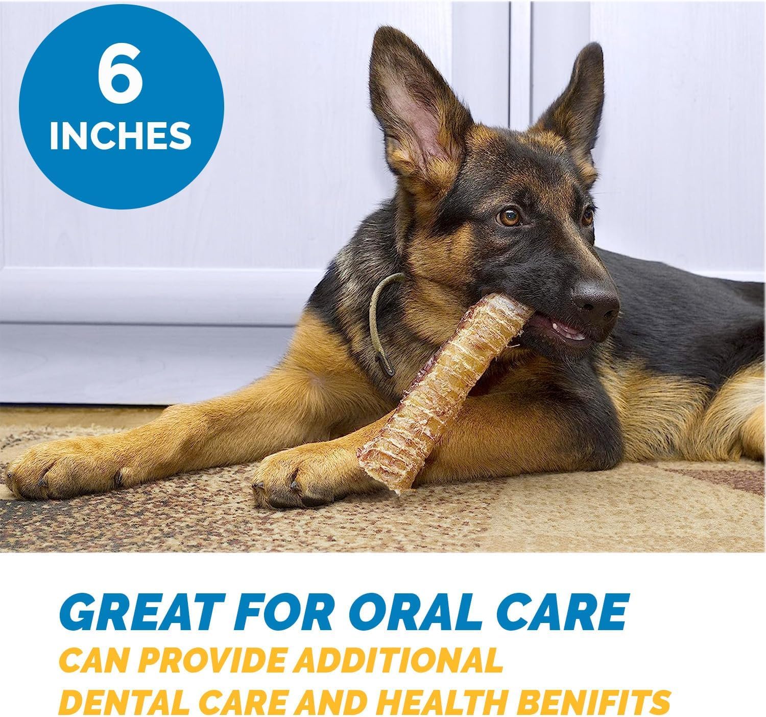 6" or 12" Trachea Chews for Dogs (10 count) or 3" - (8 or 25 Count) all natural.
