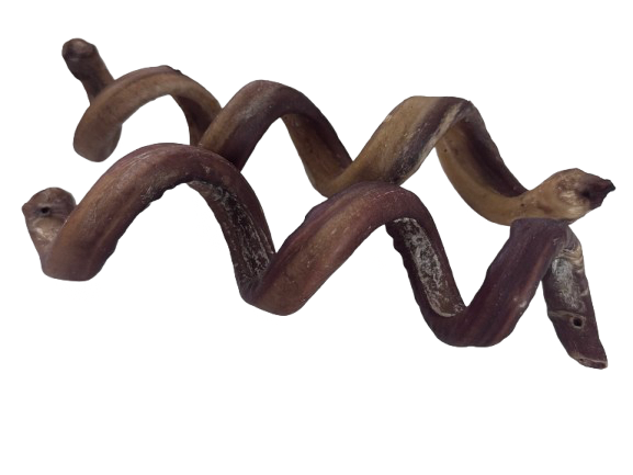 Bully Spring Stick Chews for Dogs – 6-8” (10 or 25 Count) pack - Natural & Long-Lasting Dog Treats