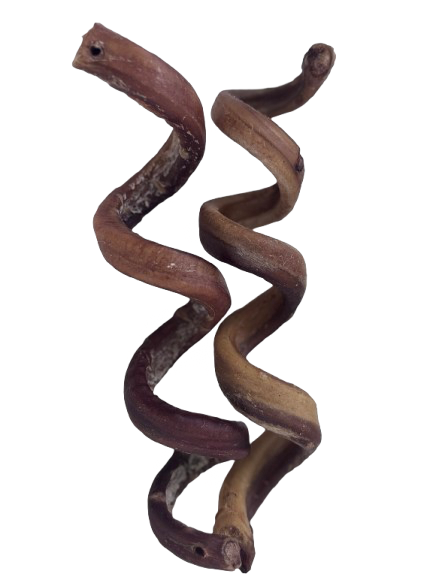 Bully Spring Stick Chews for Dogs – 6-8” (10 or 25 Count) pack - Natural & Long-Lasting Dog Treats