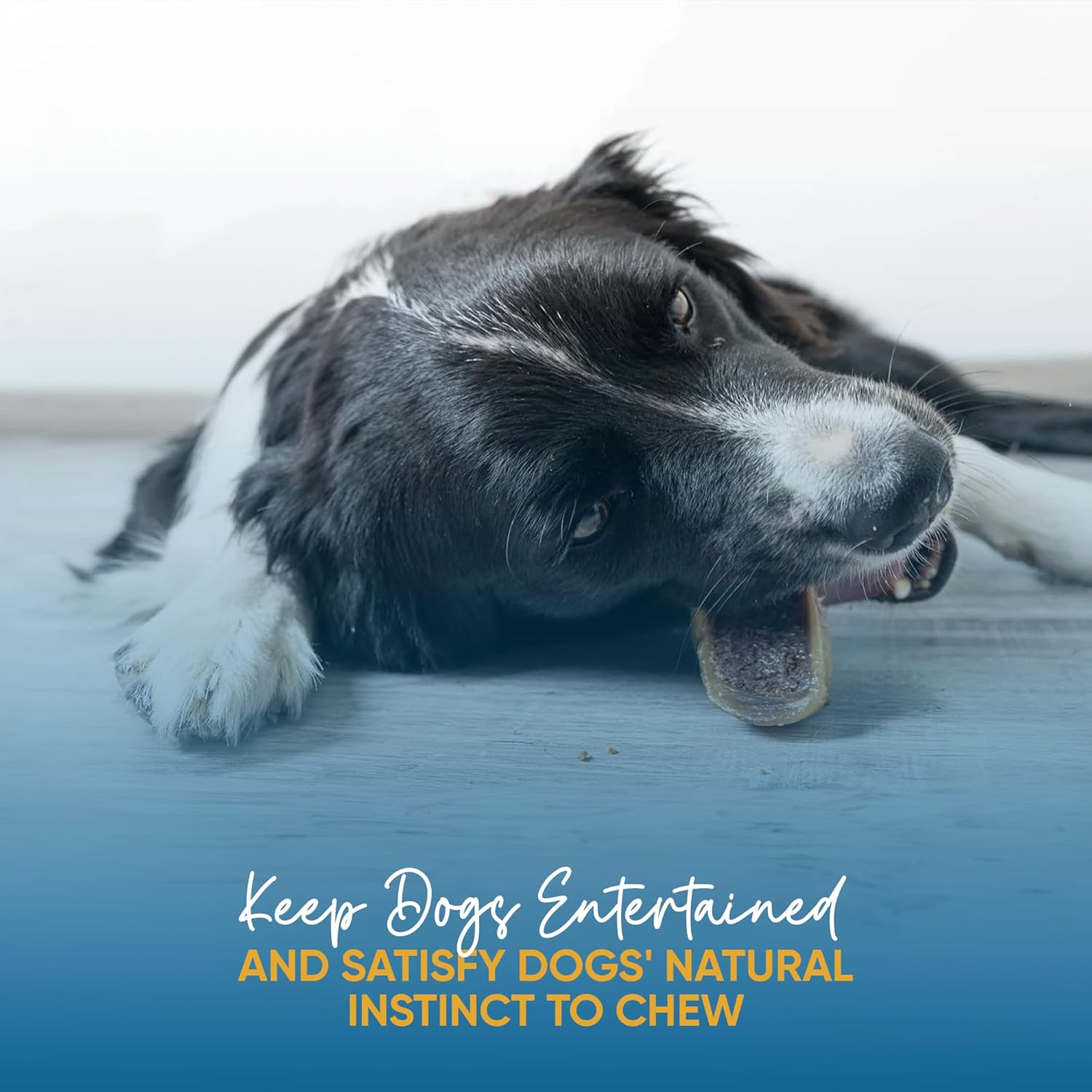 Stuffed Hooves chews for dogs Variety pack (10 Count)