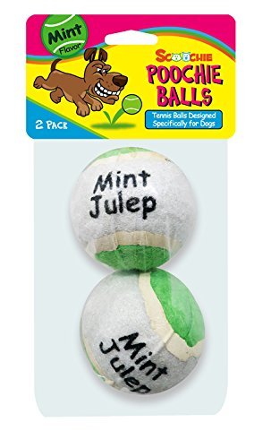 Mint Flavored Tennis Balls | 2 Count | Scoochie Poochie | Tough balls for dogs