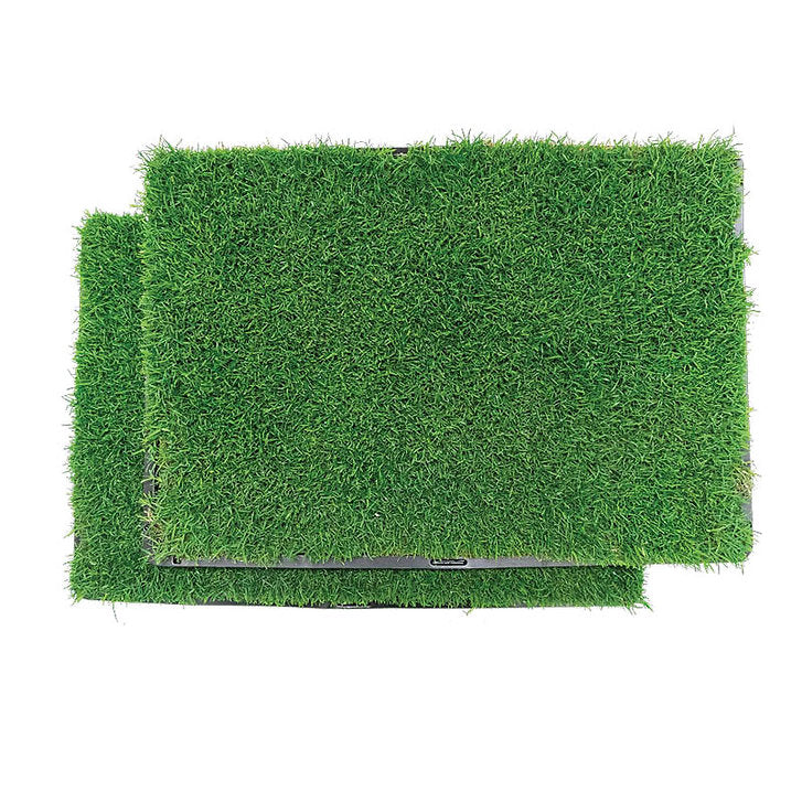 Gotta Go Grass with Tray (2-Pack)