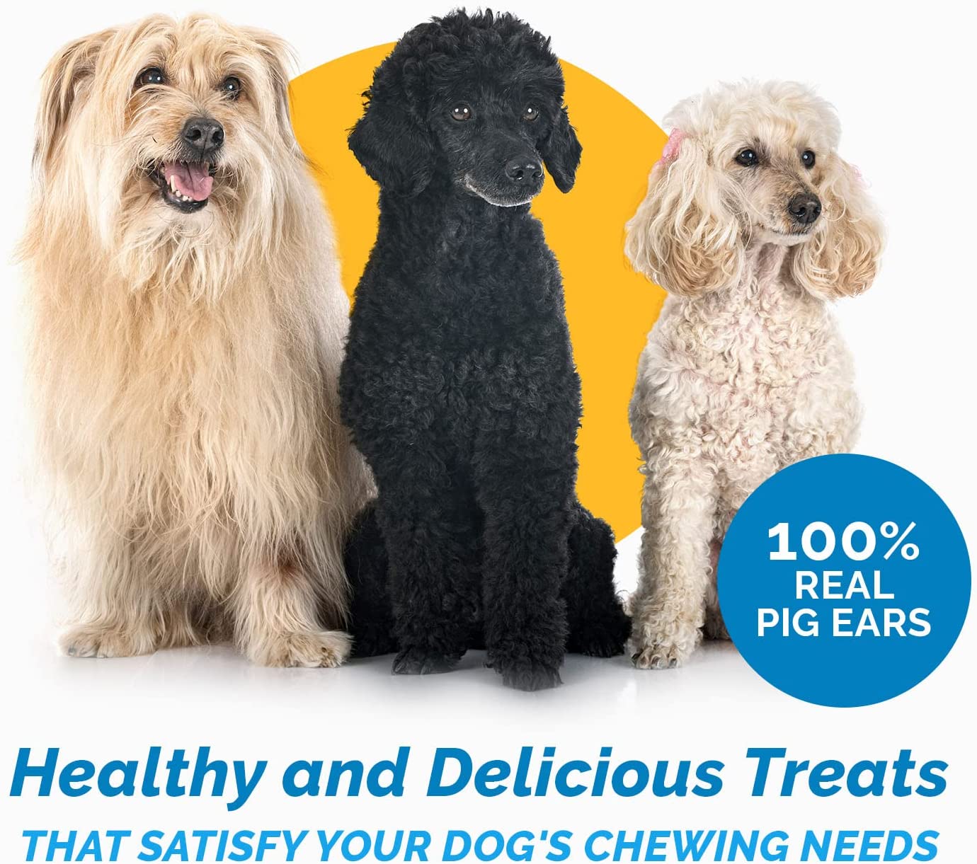 PIG EARS for Dogs Large or Whole sizes - 100% Natural Pork Ears Full of Protein for Your Pet By 123 Treats