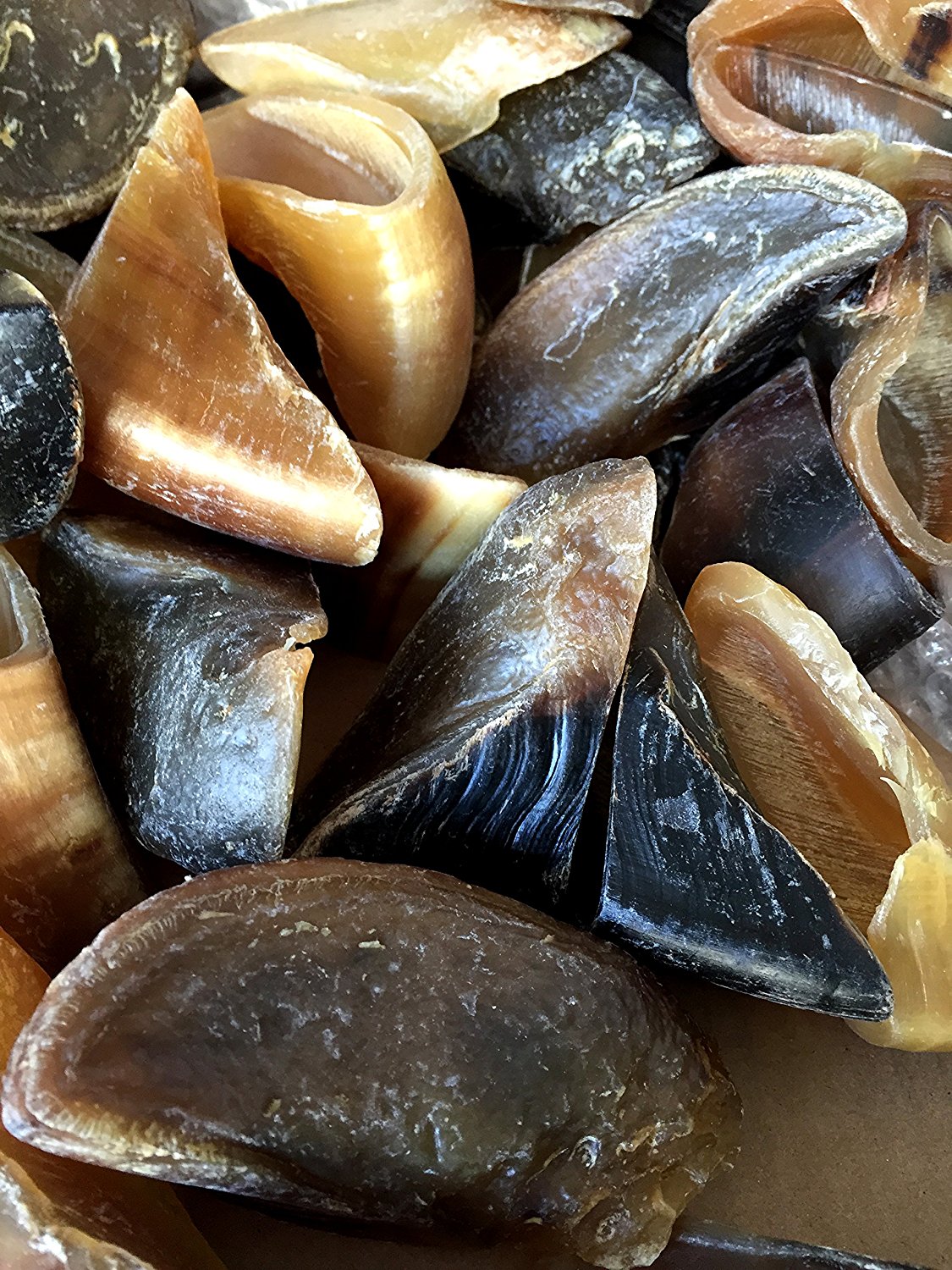 HOOVES for Dogs 10, 25 or 50 Count | 100% Natural Long-lasting Dental dog Chews made from Beef Hoof From 123 Treats