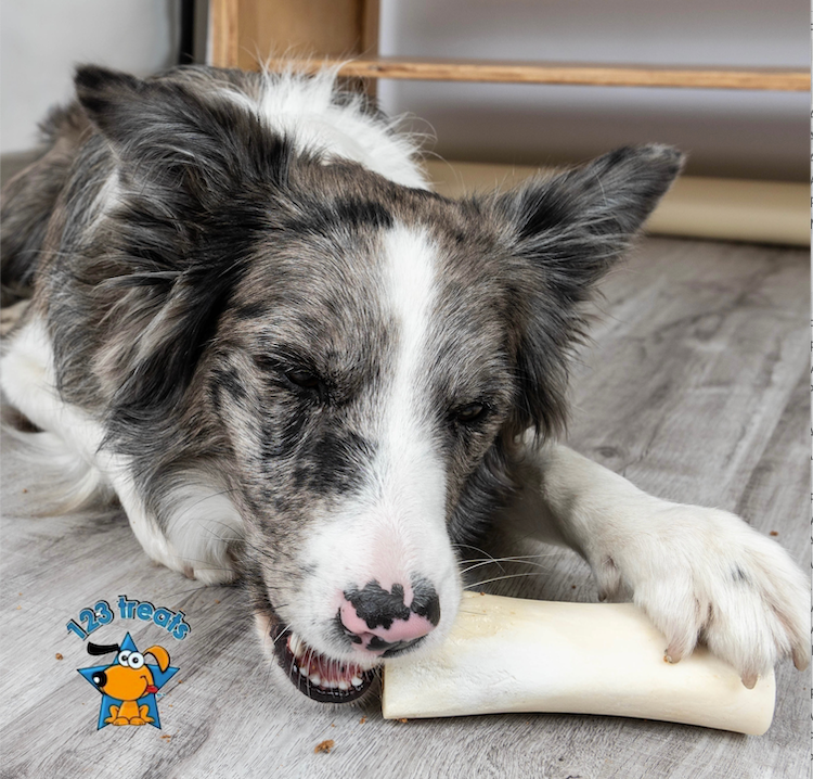 Stuffed Shin BONES for dogs 5-6 inches with Peanut Butter Flavor 2 or 4 Count