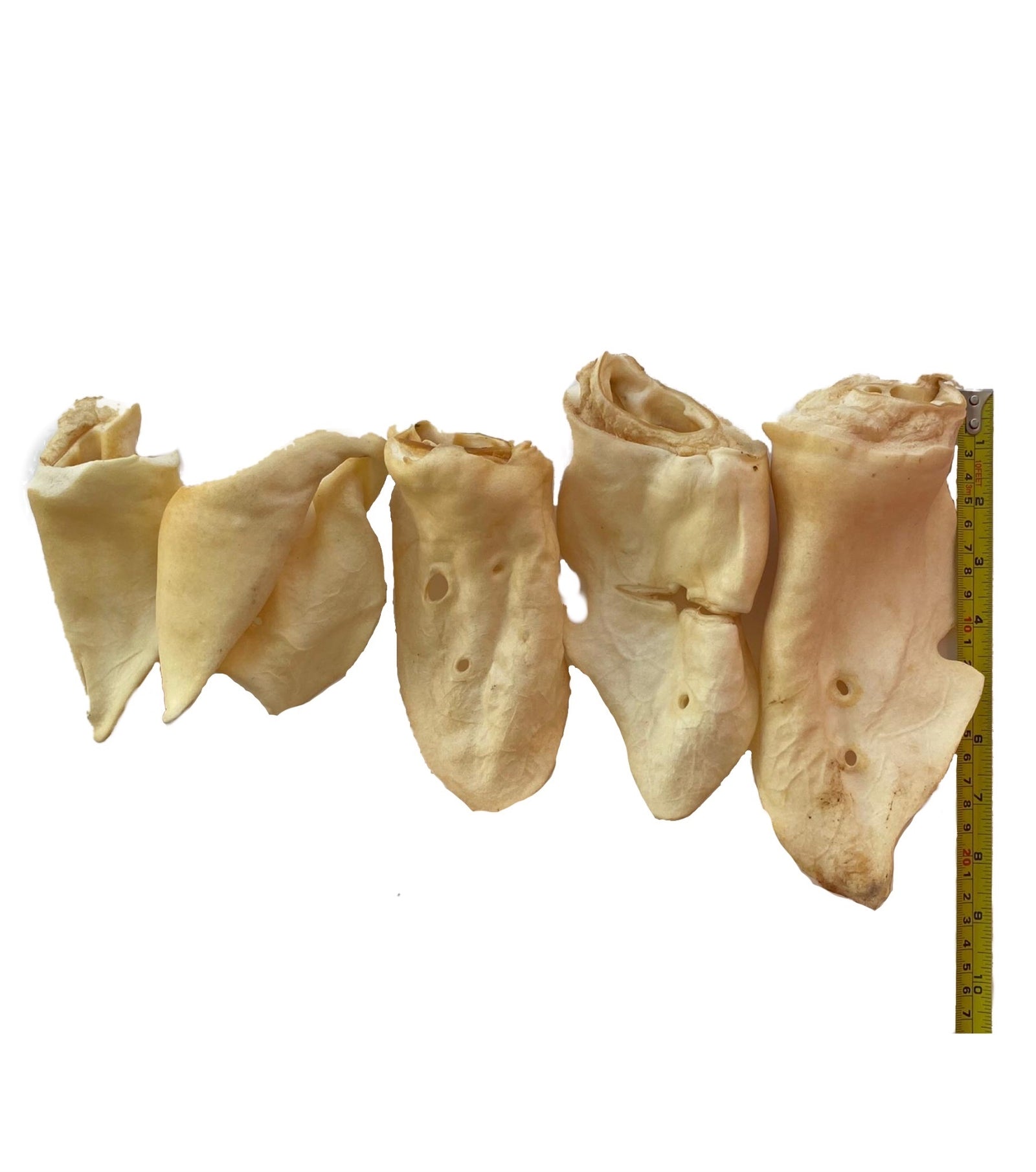 WHITE COW EARS for Dogs 10, 20, 50, 100 or 200 Count | 100% Natural Large Cow Ears Bulk Dog Treats