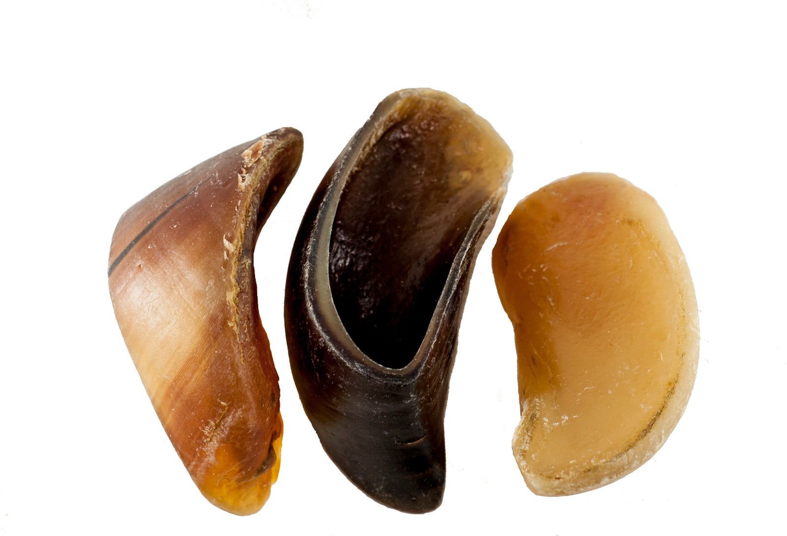 HOOVES for Dogs 10, 25 or 50 Count | 100% Natural Long-lasting Dental dog Chews made from Beef Hoof From 123 Treats