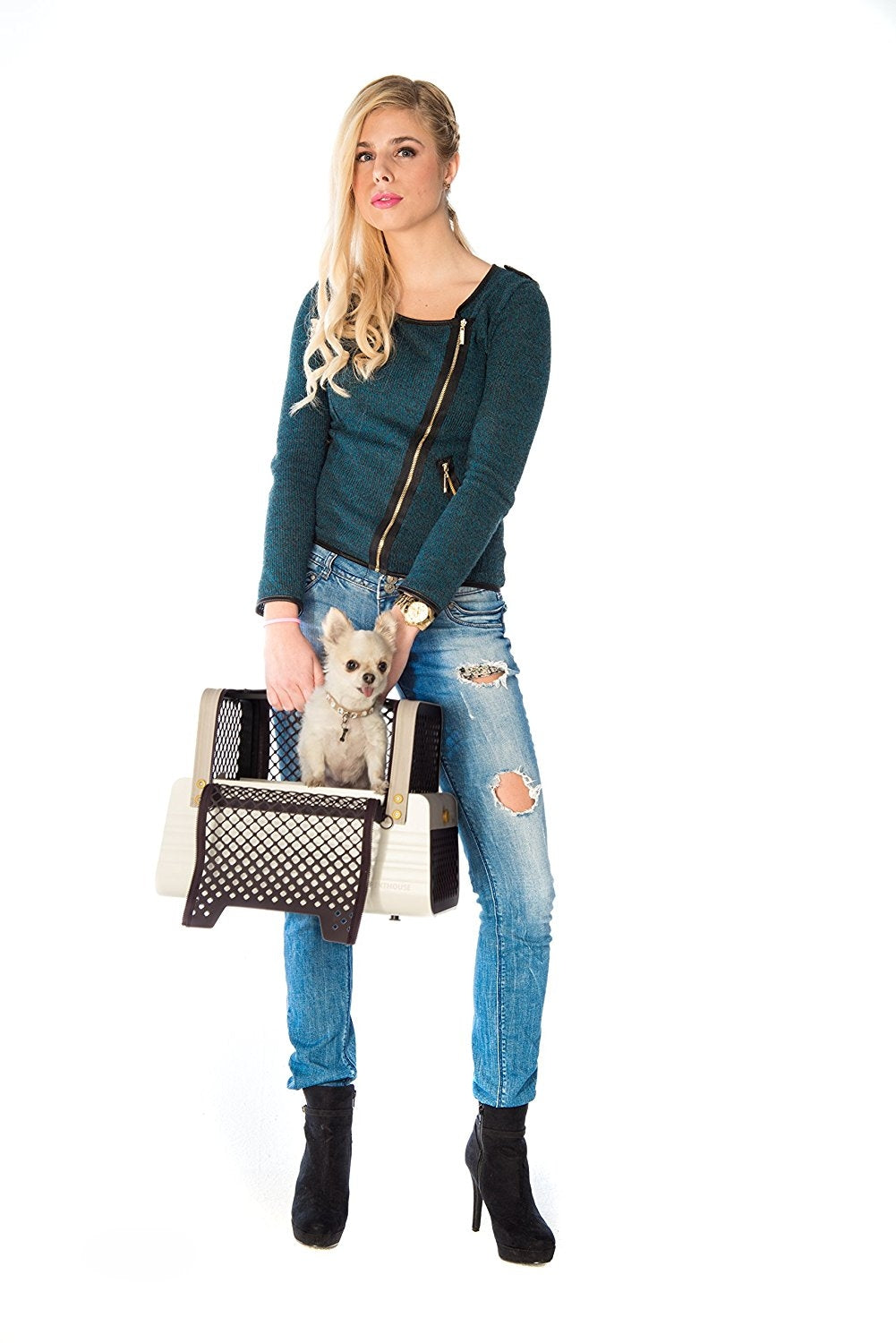 Montreal - Crash Tested Dog Carry on for Small Dogs | Safe Transportation of Small Dogs in a Car | Safe Dog Carrier | 4 Pets