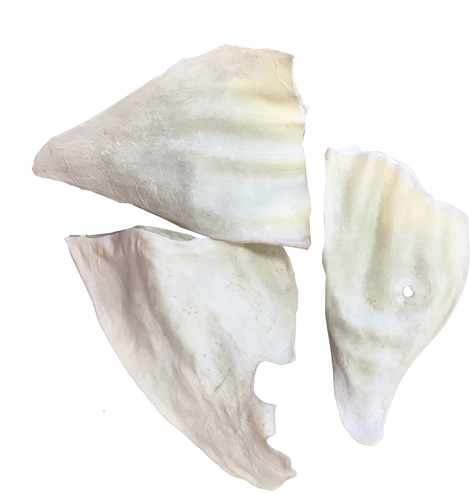 One Time Purchase / 20 Count