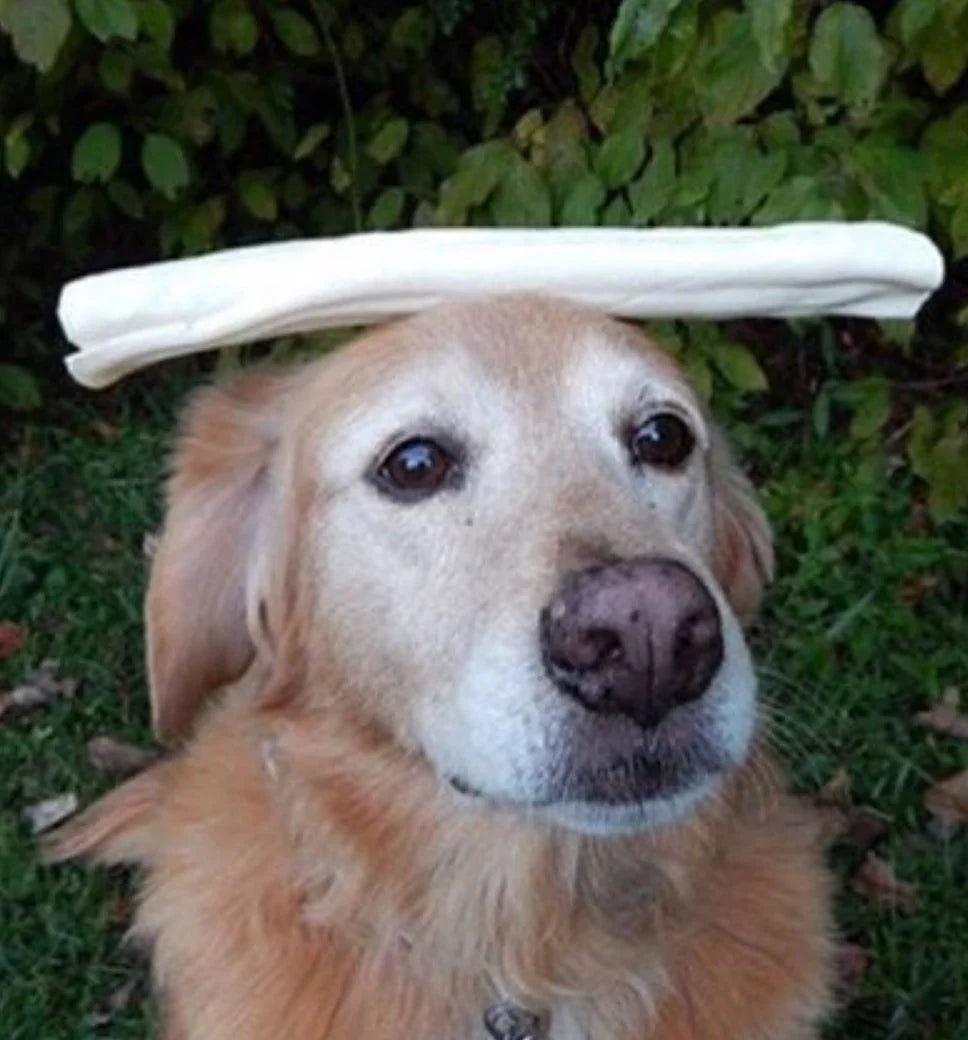 RAWHIDE: A TASTY TREAT FOR YOUR FAVORITE FRIEND