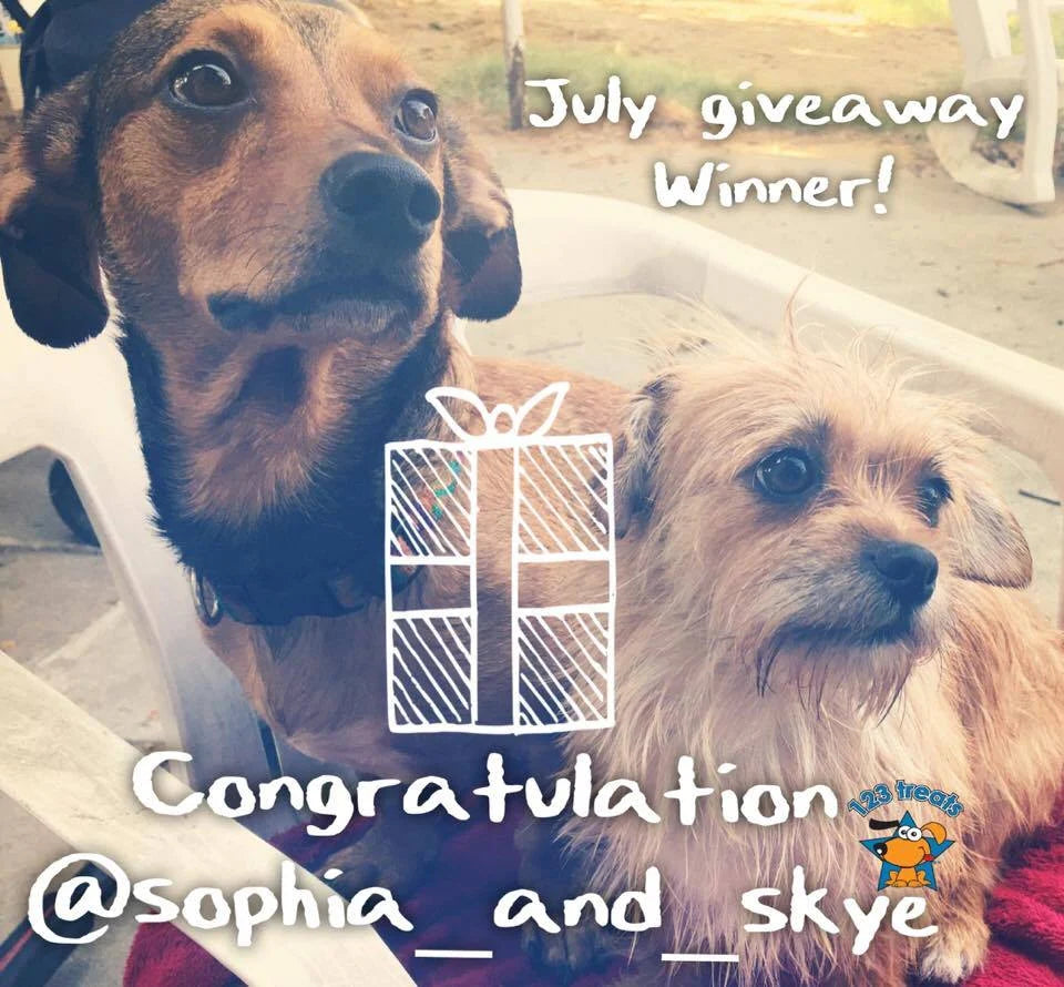 CONGRATULATIONS JULY MONTH GIVEAWAY WINNER