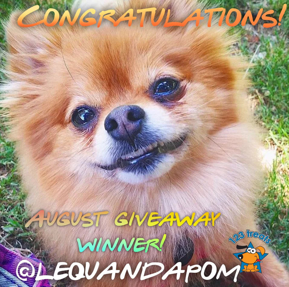 CONGRATULATIONS AUGUST MONTH GIVEAWAY WINNER