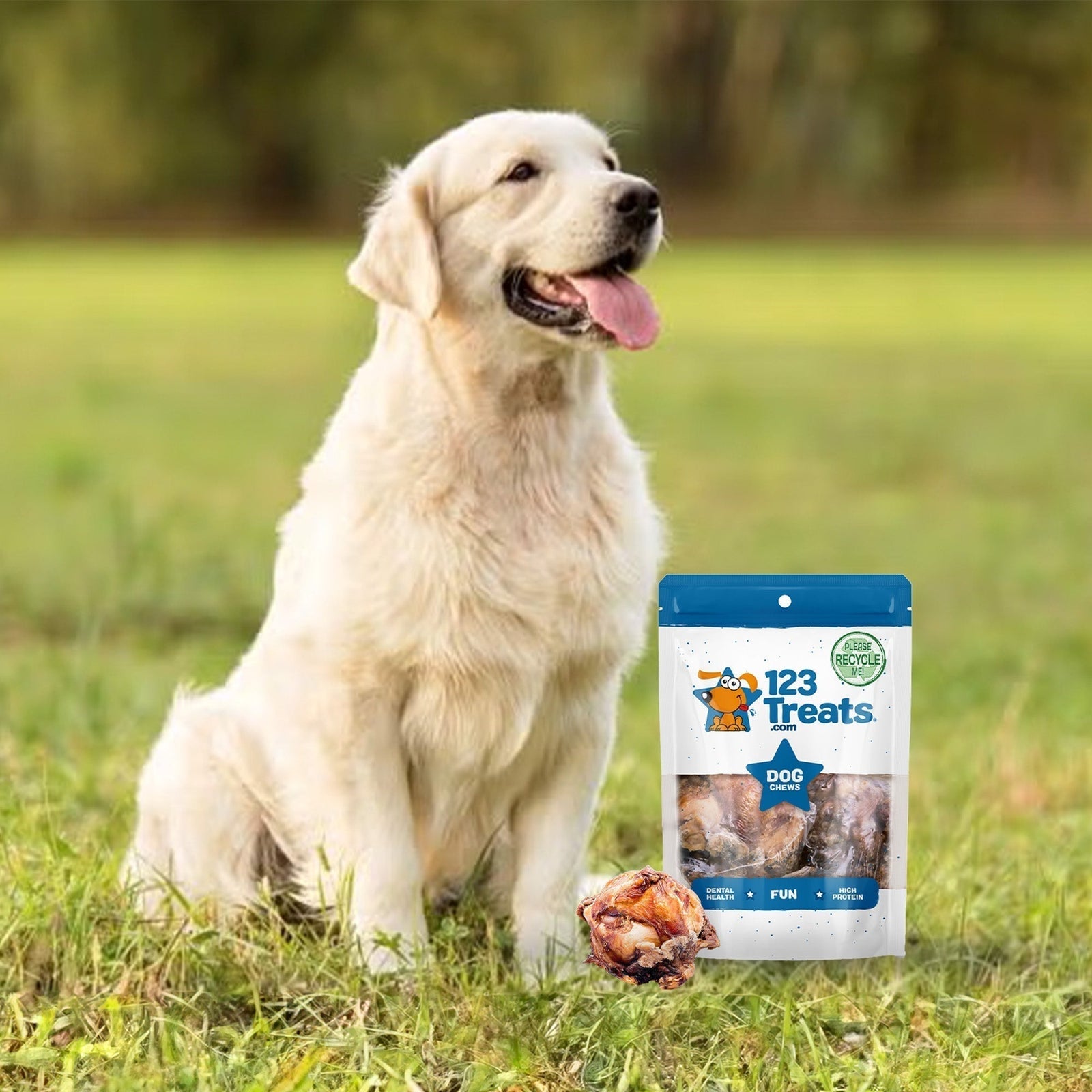 Why Your Dog Deserves Better Than Big Box Treats