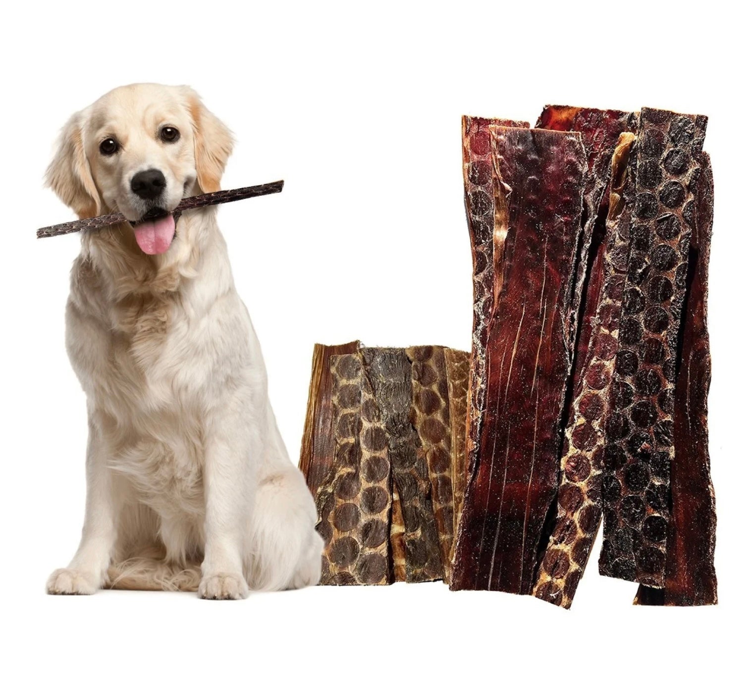 Celebrating National Jerky Day: A Treat for Humans and Dogs Alike