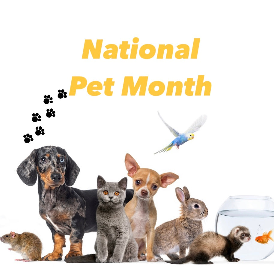 National Pet Month - 123treats