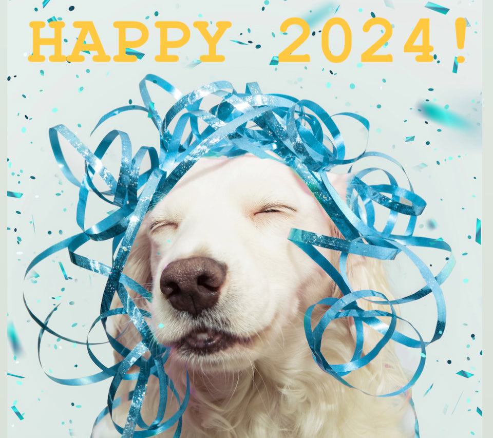 New Year's Resolutions for You and Your Furry Friend