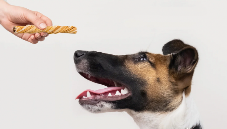 Unveiling the Goodness of Beef Tripe Treats for Dogs