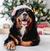 Christmas Gift Ideas for Your Dog