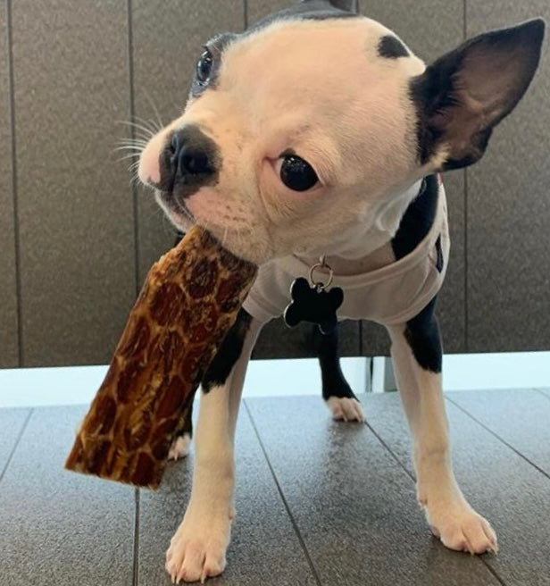 The Benefits of Beef Esophagus Chews for Dogs: A Nutritious and Enjoyable Treat