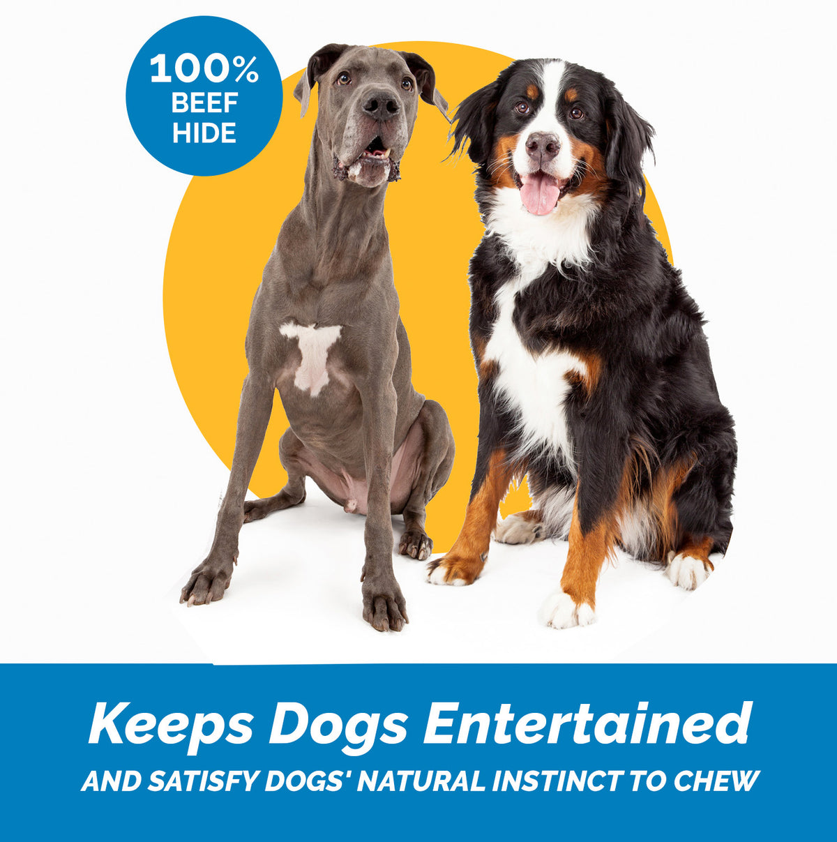 8-9 inches Large Rawhide Bones (15 Count) 100% Natural Bulk Bones