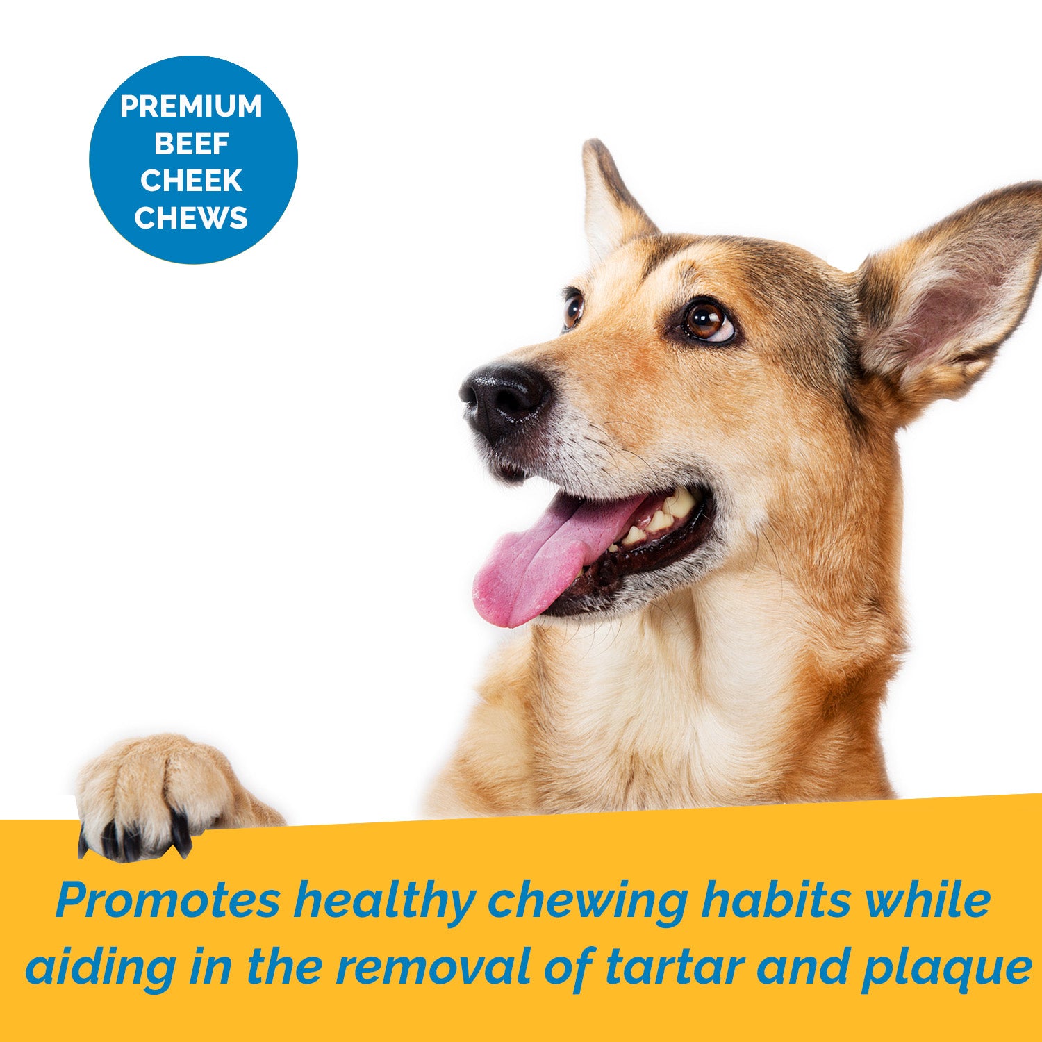 Beef Cheek Beef Basted chews for dogs (2 pounds)  | All natural Long Lasting dog treats