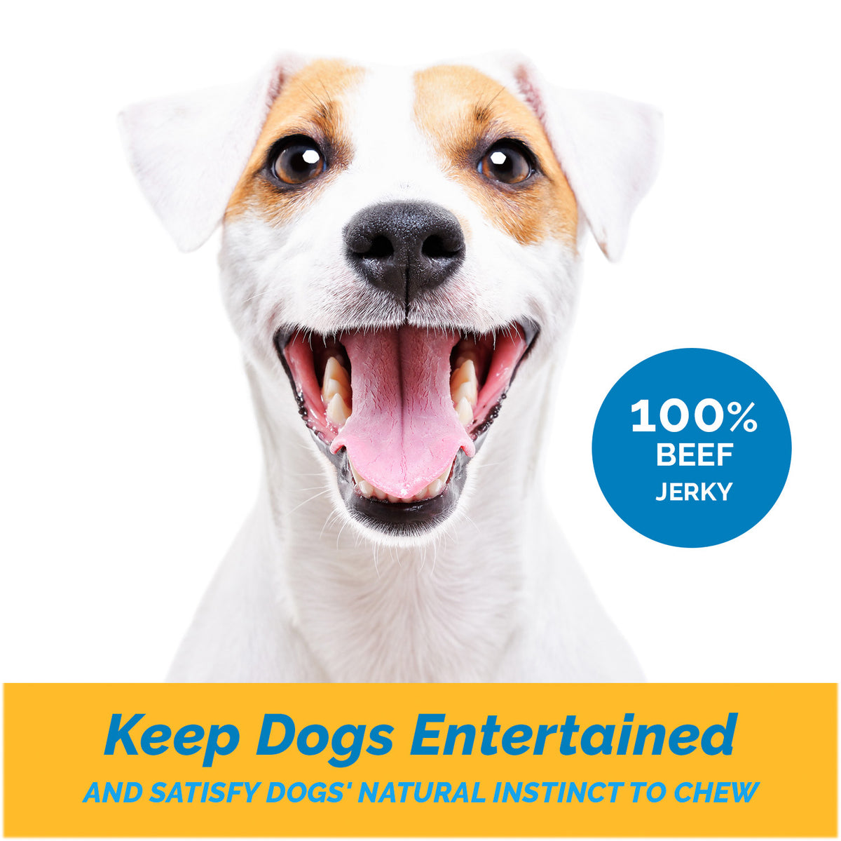 Beef Jerky Treat 5" inches - (25 Count) Chews for dogs-Made in USA