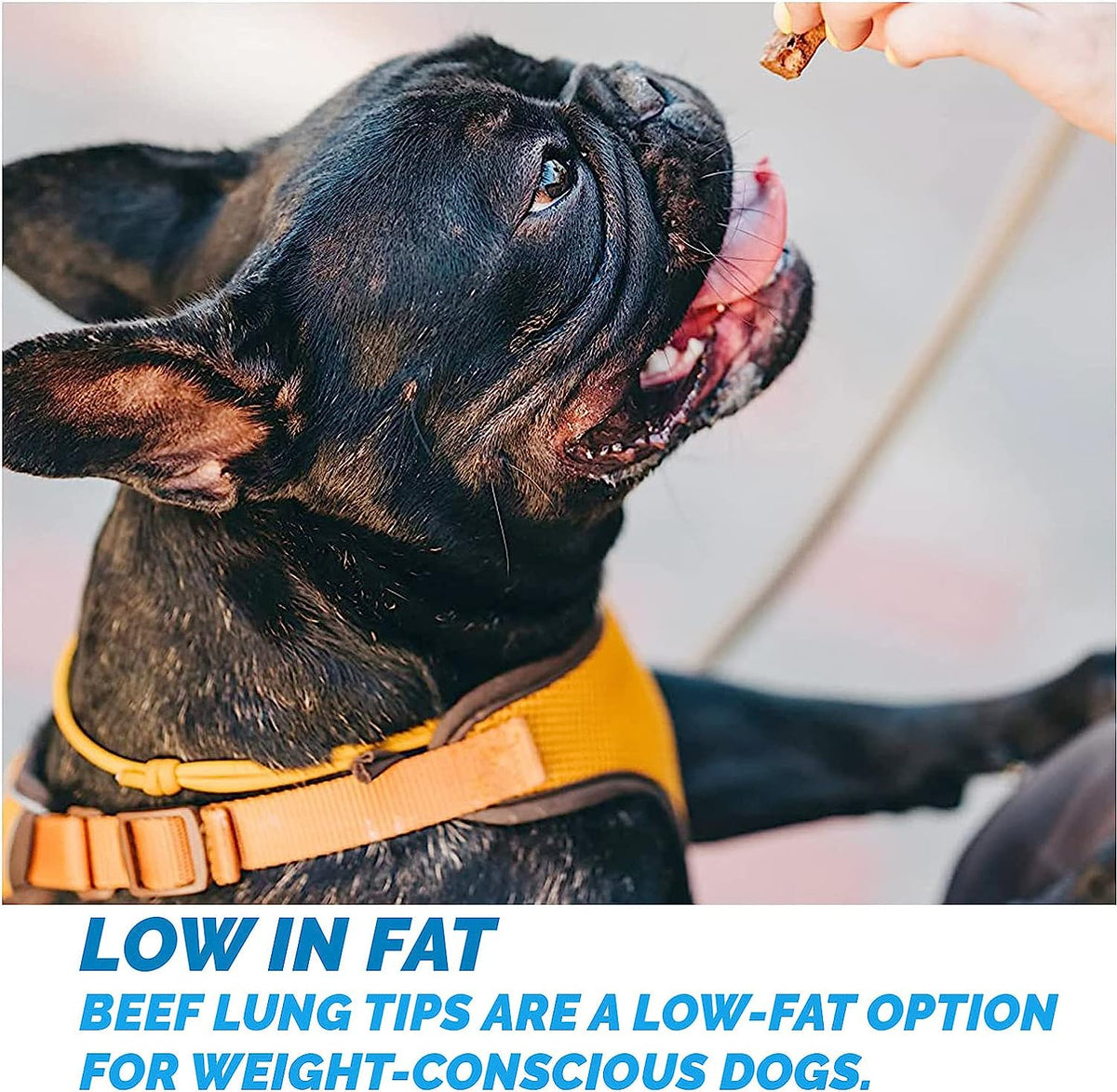 Beef Lung Tips 8 oz chew treats for dogs - Made in USA