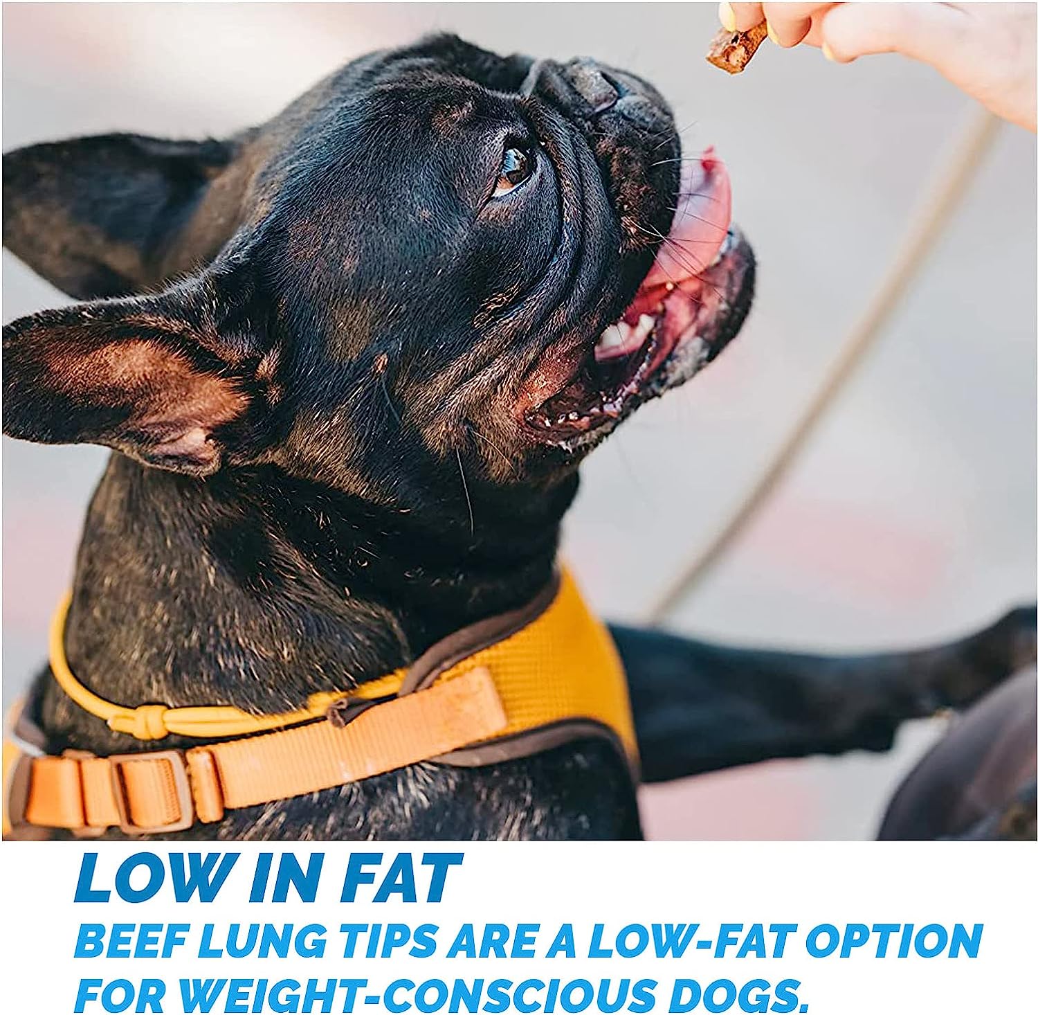 Beef Lung Tips 8 oz chew treats for dogs - Made in USA