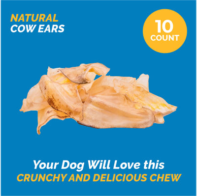 Cow Ears for Dogs | 100% Natural Cow Ears Chews (10 and 100 Count) by 123 Treats