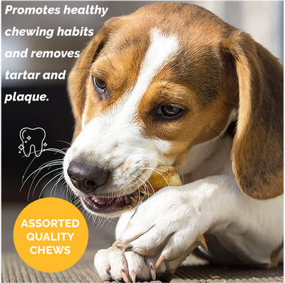 Assorted Dog Chews bags (2 or 4 Lbs) Delicious Natural Chews for Dogs - Mix dog treats