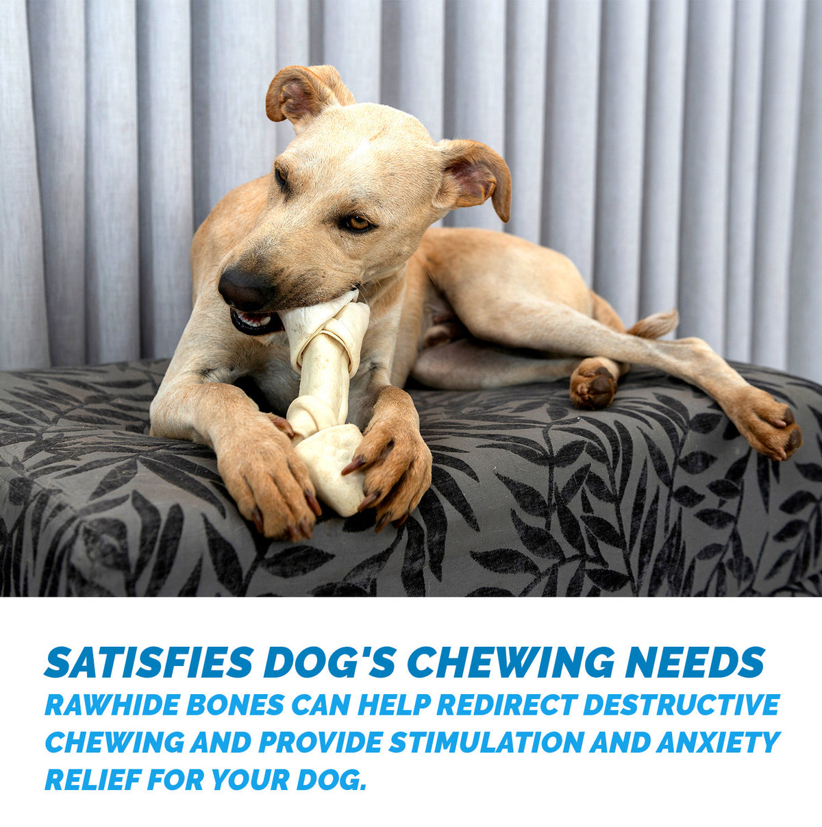 8-9 inches Large Rawhide Bones (15 Count) 100% Natural Bulk Bones