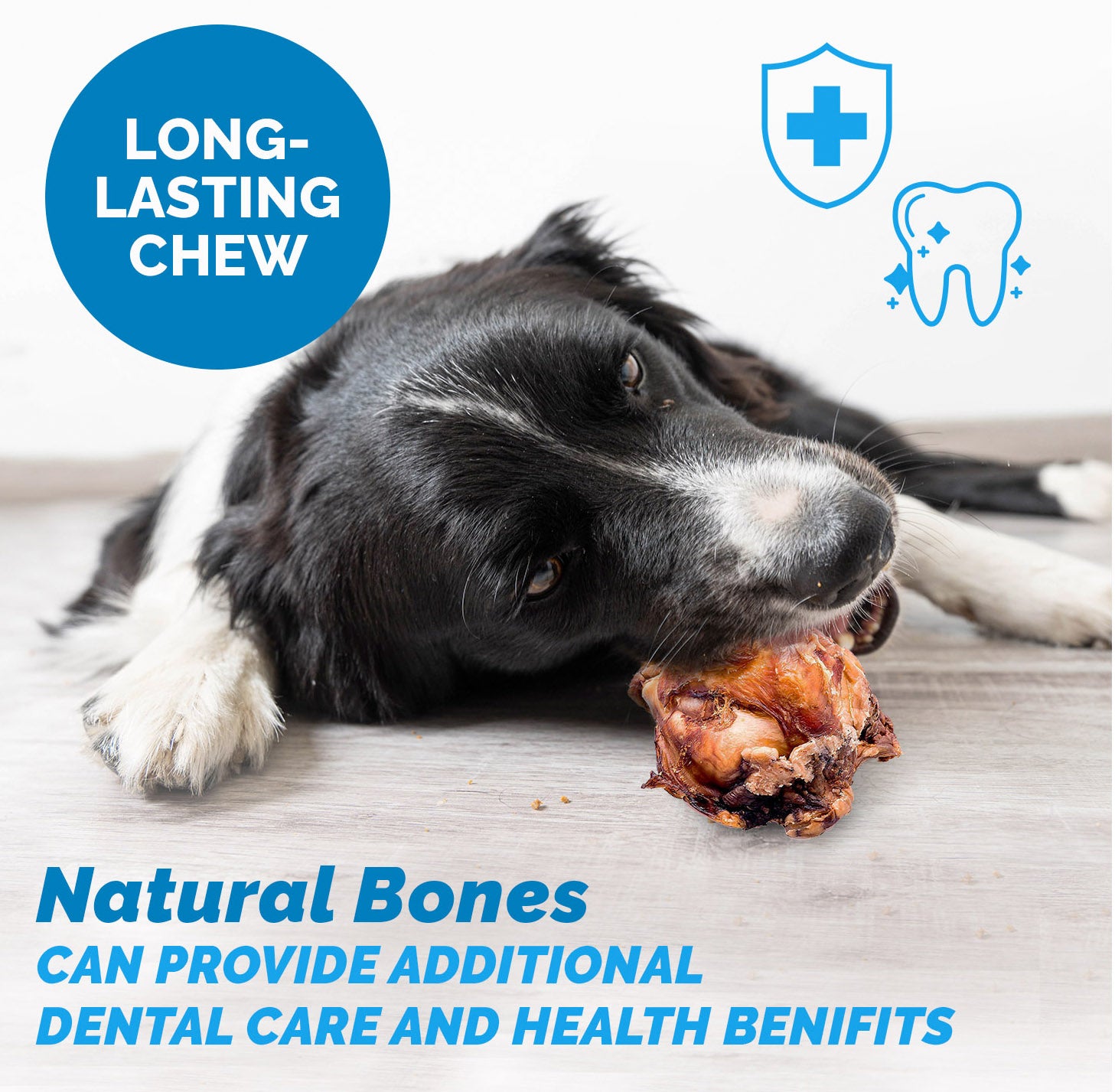 Beef Knee Caps for Dogs (3, 10 and 30 Count) 100% Natural Dog Bones | Top Quality Beef Chews