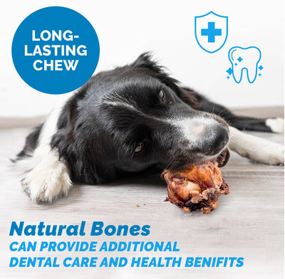 Beef Knee Caps for Dogs (3, 10 and 30 Count) 100% Natural Dog Bones | Top Quality Beef Chews