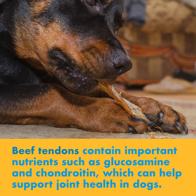 Beef Tendon Sticks Chews for Dogs 7-9 inches (10 Count and 25 Count)